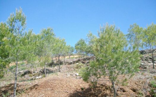 Terreno en venta en Masllorenç