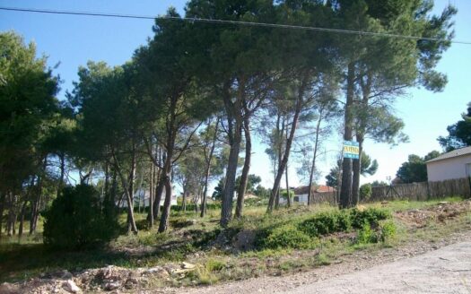 Solar en venta en Cabra del Camp