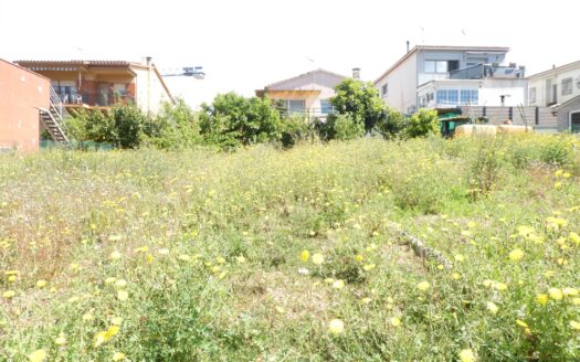 Deja de mirar casas que no te llenan… y crea la tuya desde cero en este solar