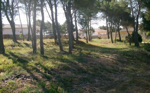Solar en venta en Cabra del Camp