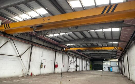 NAVE INDUSTRIAL CON PUENTES GRUA