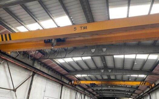 NAVE INDUSTRIAL CON PUENTES GRUA