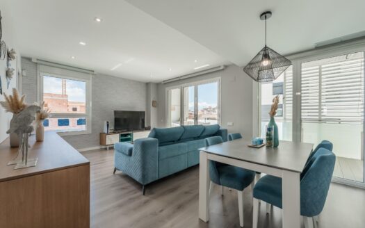 GRAN PISO EN BADALONA, BARRIO DE GORG