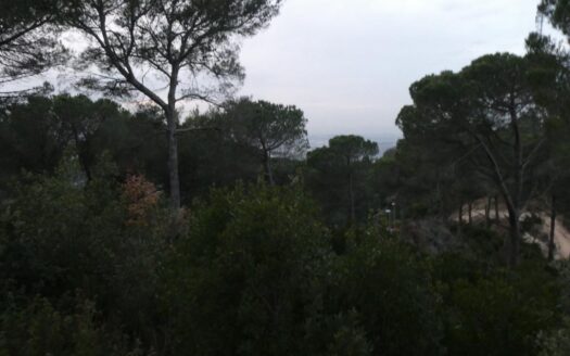 Terreno urbanizable en Ca l’Alegre