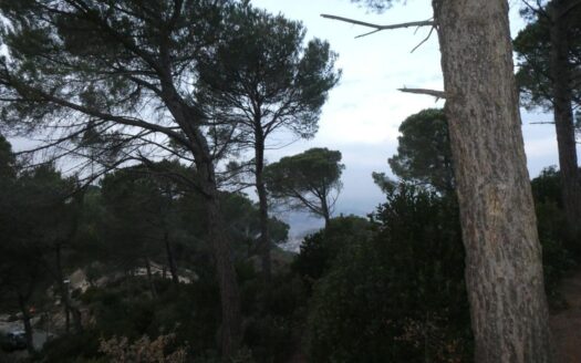 Terreno urbanizable de 813m² en venta en Vilanova del Vallès, Can Bosc